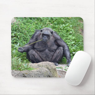 Chimpanzee Eating Grass Mouse Mat