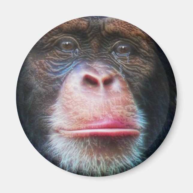 CHIMPANZEE FACE Primate Wildlife Art Magnet (Front)