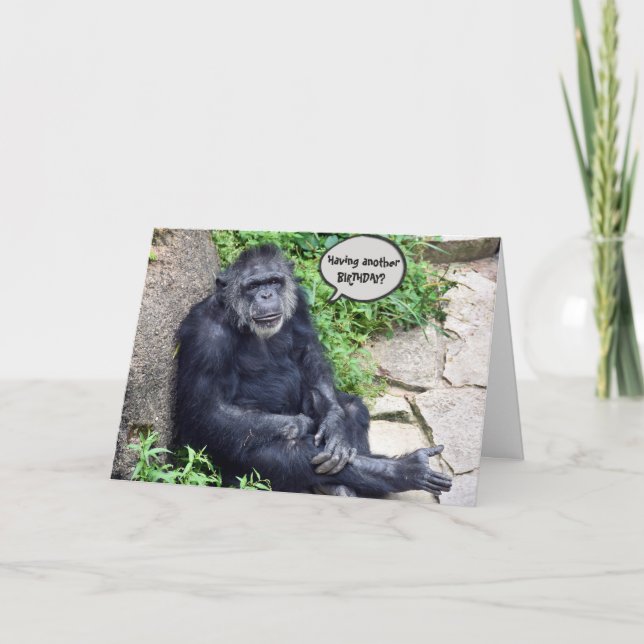 Chimpanzee Getting Older Birthday Card (Front)