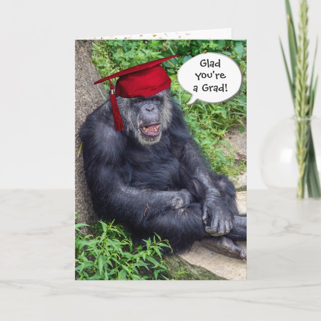 Chimpanzee Graduate with  Red Cap Card (Front)