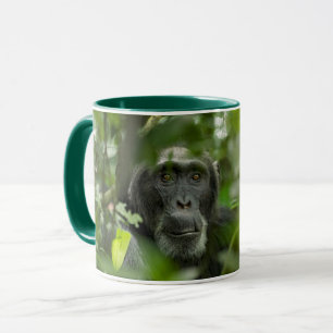 Chimpanzee Hidden Amongst Vegetation Mug