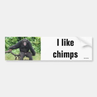 Chimpanzee in Africa Bumper Sticker