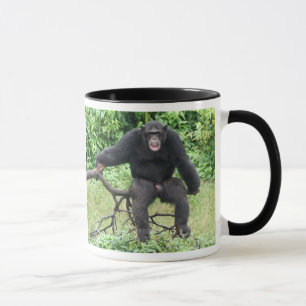 Chimpanzee in Africa Mug