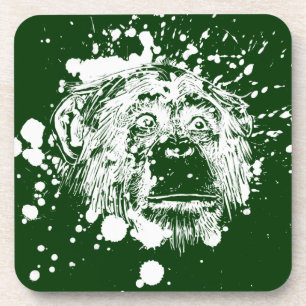 Chimpanzee in White Splash Coaster