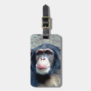Chimpanzee Luggage Tags
