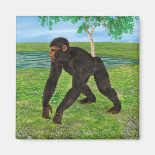 Chimpanzee Magnet