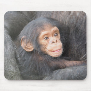 Chimpanzee Mouse Mat