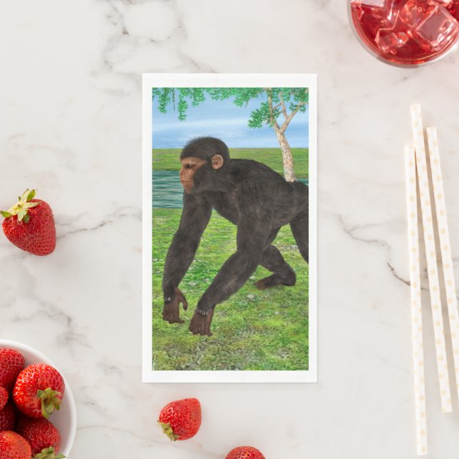 Chimpanzee Napkin (Insitu)