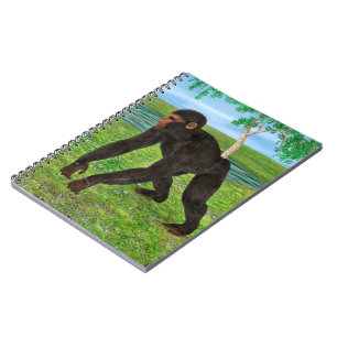 Chimpanzee Notebook