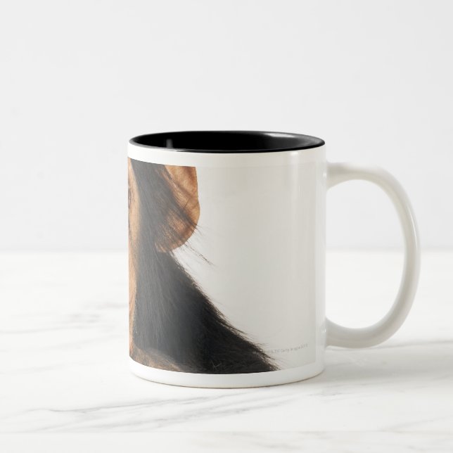 Chimpanzee (Pan troglodytes). Young playfull Two-Tone Coffee Mug (Right)