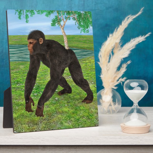 Chimpanzee Plaque (Side)