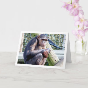 Chimpanzee Portrait Card