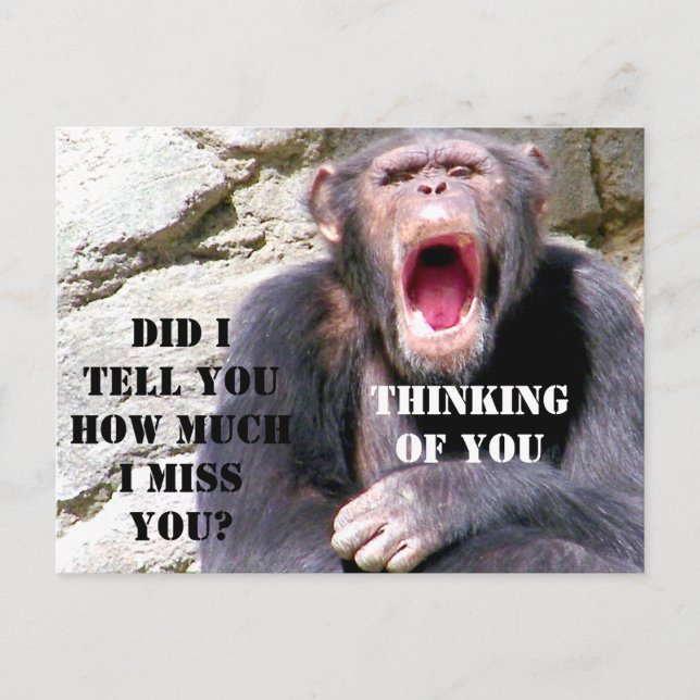Chimpanzee_ Postcard (Front)