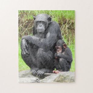 Chimpanzee Puzzle