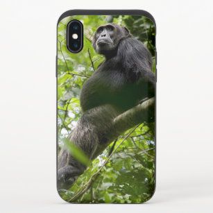 Chimpanzee Relaxing on Tree iPhone X Slider Case