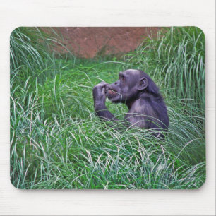 Chimpanzee Sitting In Tall Grass Mouse Mat
