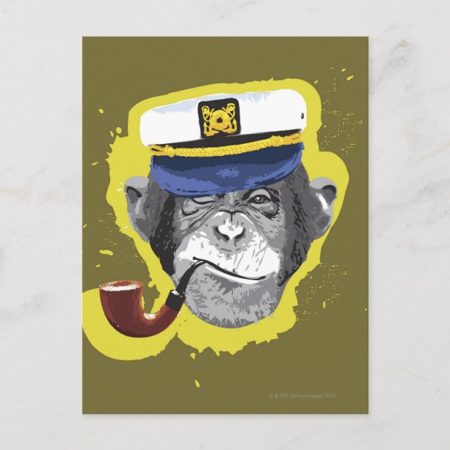 Chimpanzee Smoking Pipe Postcard (Front)