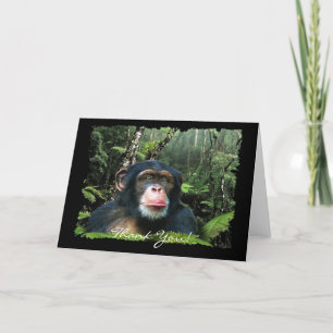 CHIMPANZEE Thank You Card