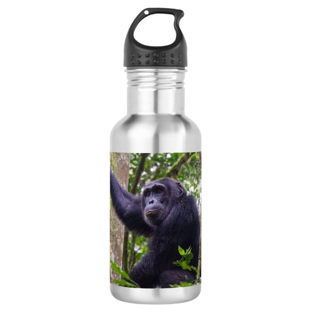 Chimpanzee water bottle (Front)
