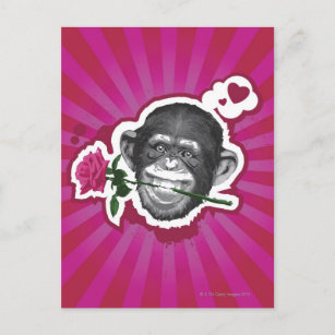 Chimpanzee with a Rose in his Mouth Postcard