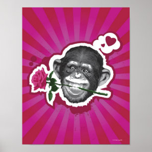 Chimpanzee with a Rose in his Mouth Poster
