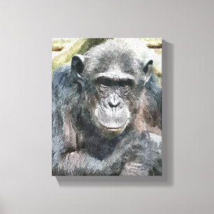 CHIMPANZEES CANVAS PRINT
