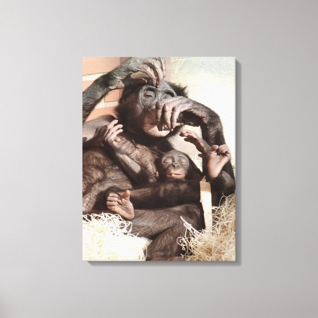 CHIMPANZEES CANVAS PRINT (Front)