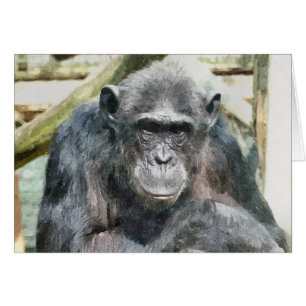 CHIMPANZEES Card