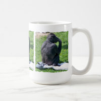 CHIMPANZEES