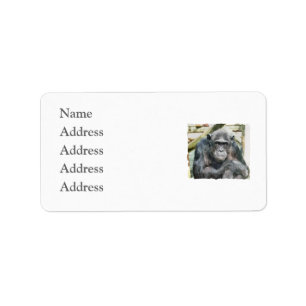 CHIMPANZEES LABEL