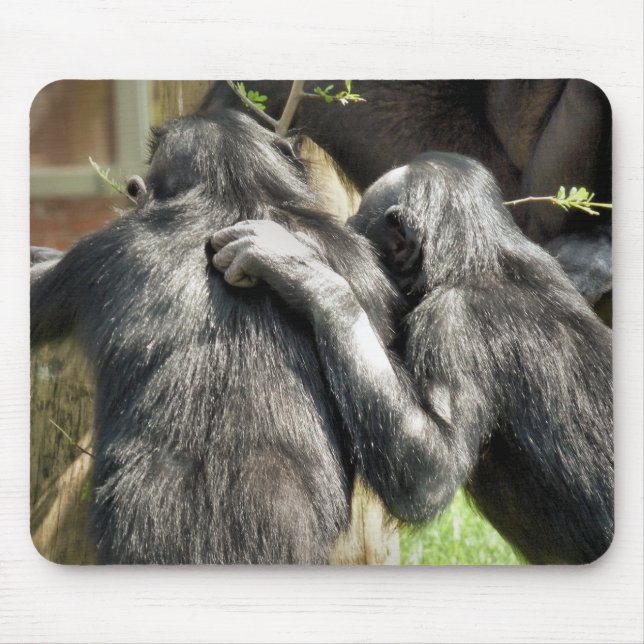 CHIMPANZEES   MOUSE MAT (Front)