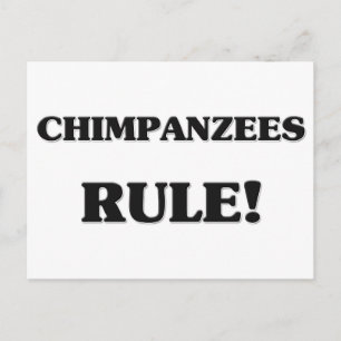 Chimpanzees Rule Postcard