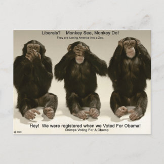 Chimps For A Chump Postcard