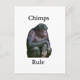 Chimps rule postcard