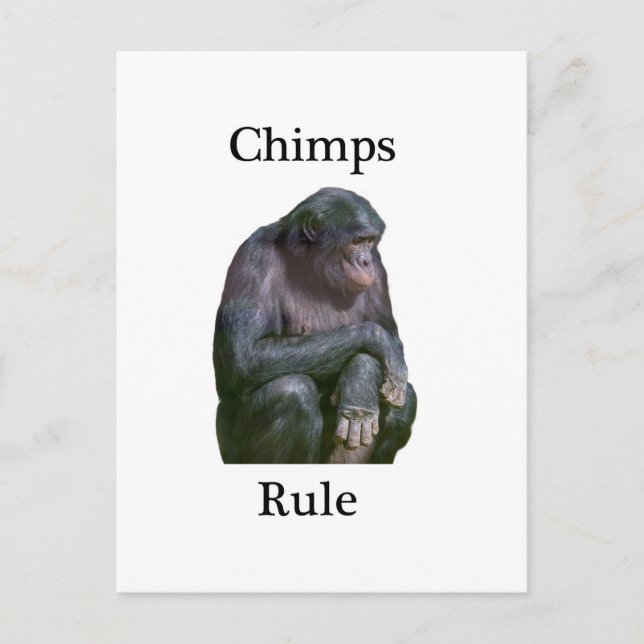 Chimps rule postcard (Front)