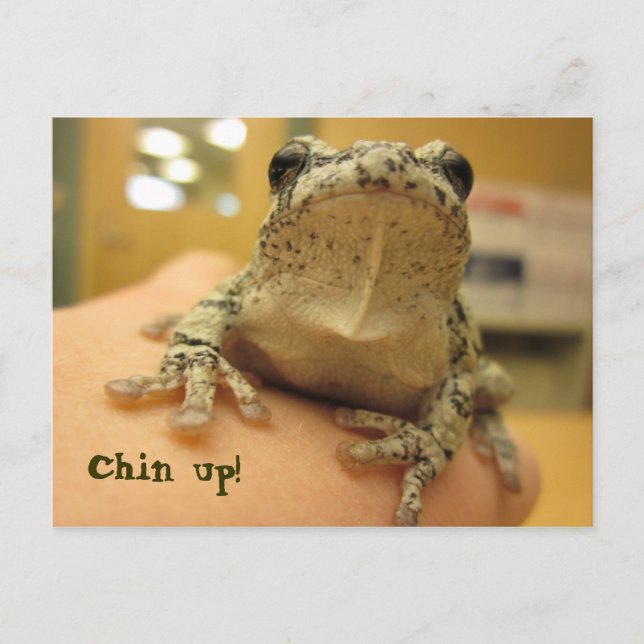 Chin up! postcard (Front)