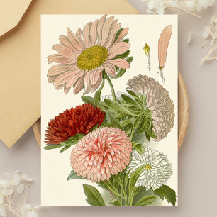China Asters – Exquisite Vintage Floral Botanical  Holiday Postcard