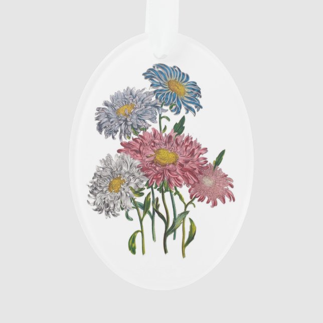 China Asters Ornament (Back)