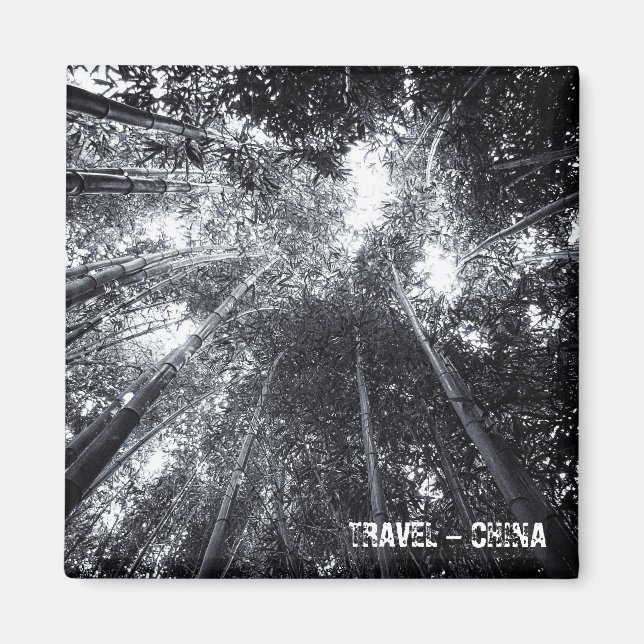 China, Bamboo Forest (Fridge Magnet) Magnet (Front)