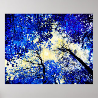 China blue, Nature photography, blue trees, moon Poster
