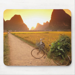 China, Guangxi. Yangzhou, Bicycle on country Mouse Mat