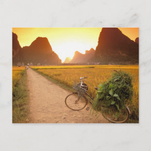 China, Guangxi. Yangzhou, Bicycle on country Postcard