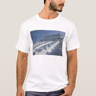 CHINA, Heilongjiang Province, Haerbin (Harbin). 2 T-Shirt