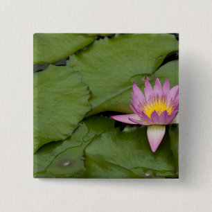 China, Hong Kong, New Territories. Chi Lin 15 Cm Square Badge
