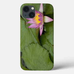 China, Hong Kong, New Territories. Chi Lin iPhone 13 Case