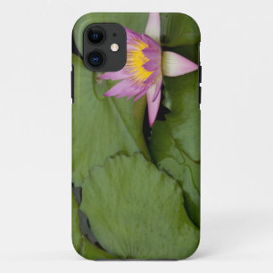 China, Hong Kong, New Territories. Chi Lin iPhone 11 Case