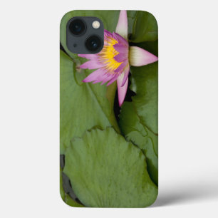 China, Hong Kong, New Territories. Chi Lin iPhone 13 Case