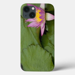 China, Hong Kong, New Territories. Chi Lin iPhone 13 Case