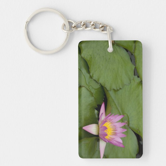 China, Hong Kong, New Territories. Chi Lin Key Ring (Front)