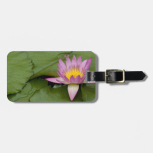 China, Hong Kong, New Territories. Chi Lin Luggage Tag